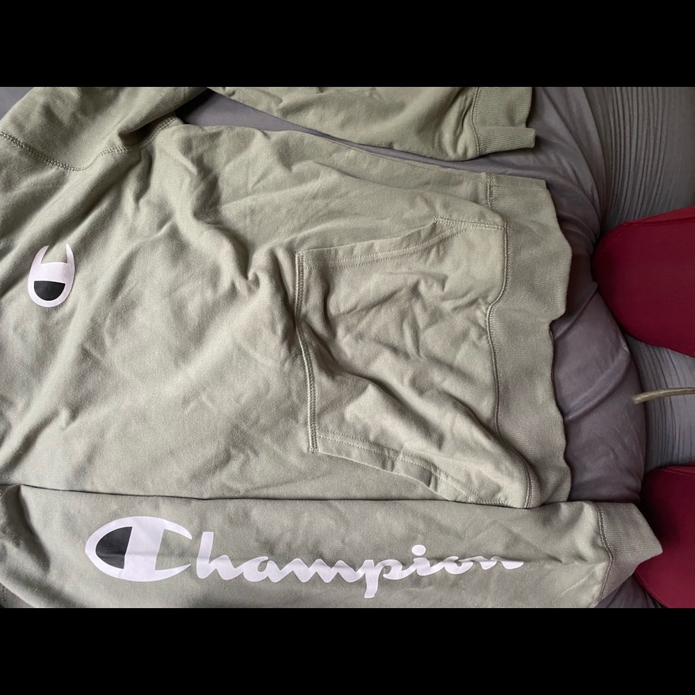 Champion hoodie nwot